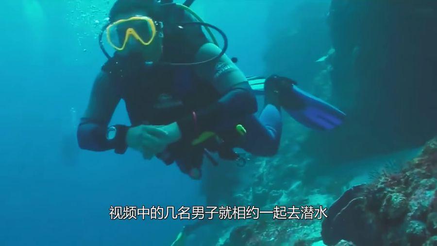 中国电信上海公司打造全国规模最大国产单池万卡液冷算力集群 多项指标领跑